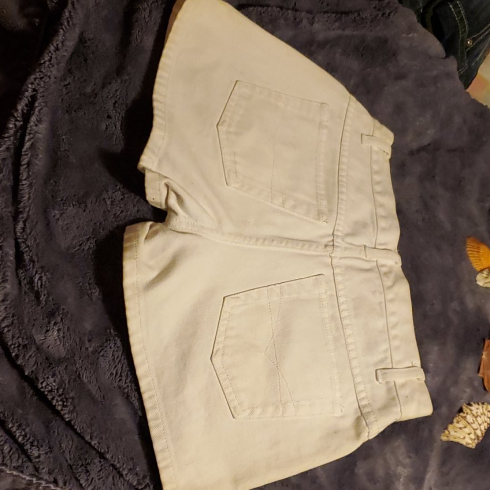 Shorts - Picture 4 of 4